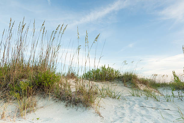 oscuridad crepúsculo dunas - jekyll island saint simons island cumberland island sea grass fotografías e imágenes de stock