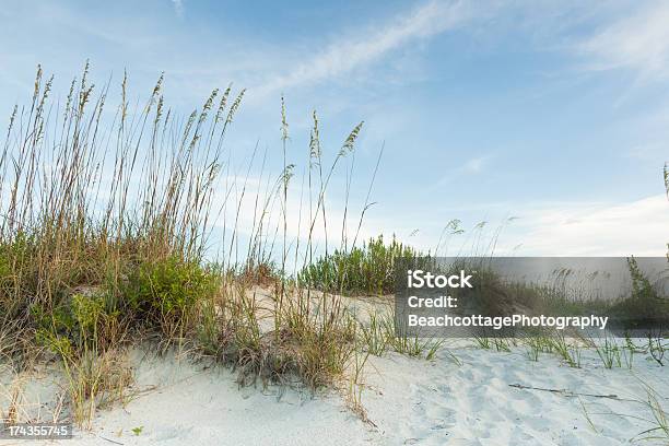 Ciemny Zmierzch Dunes - zdjęcia stockowe i więcej obrazów Bez ludzi - Bez ludzi, Brzeg wody, Cumberland Island