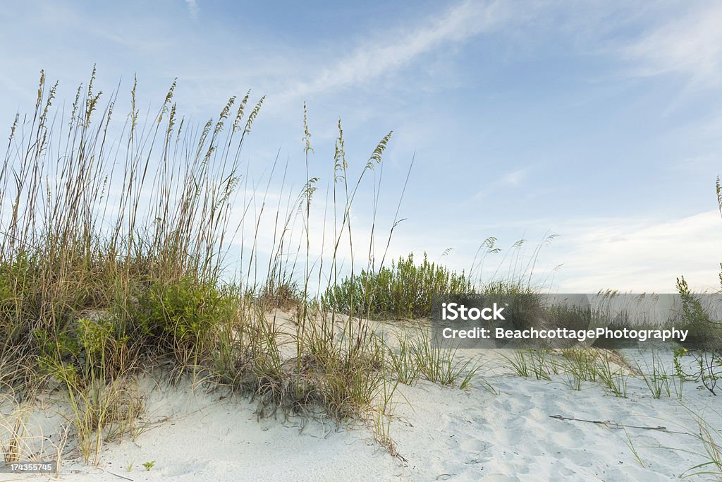 Escuro crepúsculo Dunes - Royalty-free Ao Ar Livre Foto de stock