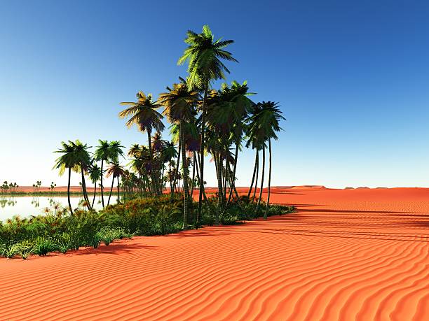 Essaouira Pauschalreisen günstig vergleichen – Urlaub in Marokko