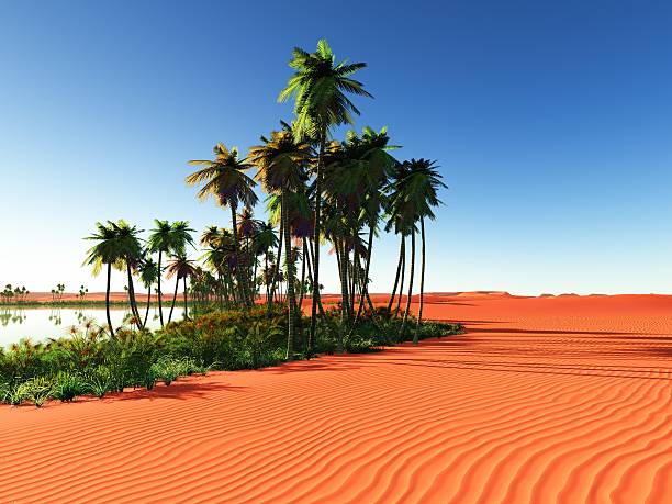 African oasis Beautiful natural background -African oasis desert oasis stock pictures, royalty-free photos & images