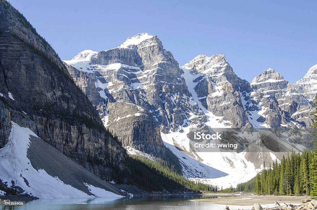 Banff Park Lago Moraine - Foto stock royalty-free di Albero