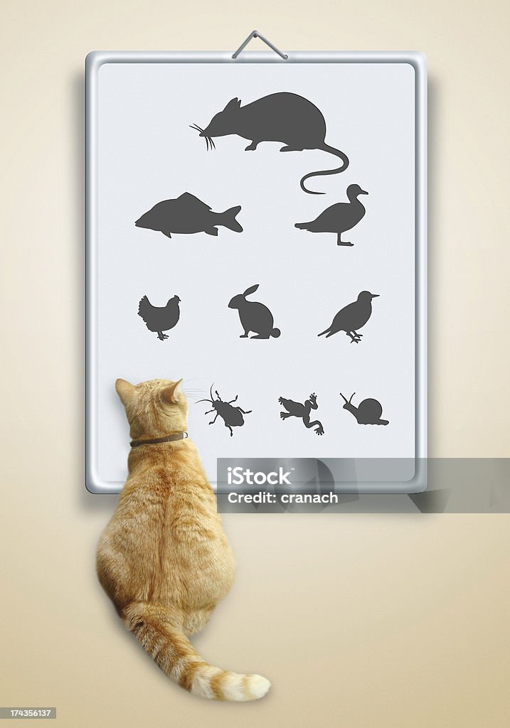 Vet optometry chart for cats Vet optometry chart for animals Ophthalmologist Stock Photo