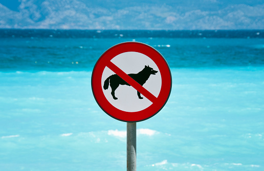 No dogs allowed sign on the beach next to the Baska on island Krk in Croatia. Selective focus.