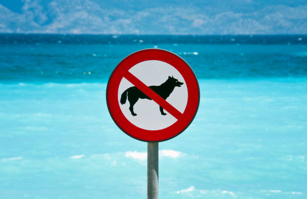 No Dogs Allowed stock photo