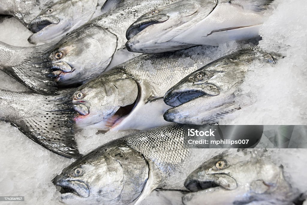 Salmón fresco de Alaska - Foto de stock de Cultura de Alaska libre de derechos