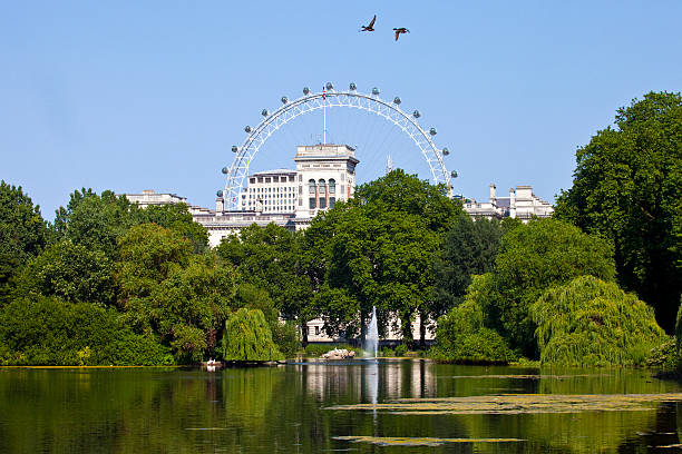 blick vom st. james's park in london - london eye stock-fotos und bilder