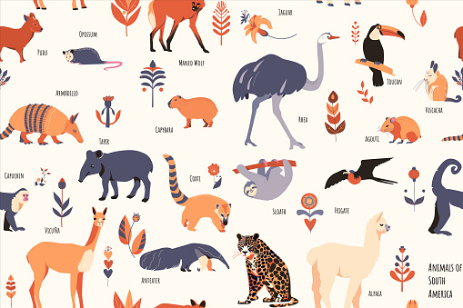 Seamless pattern with cute South American animals with floral elements and captions. Simple vector style, beige colors. 18 elements Isolated on light background.