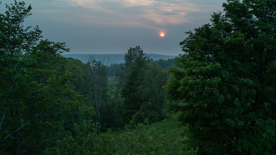 A forest and field in the country during a hazy sunset because of wild forest fires