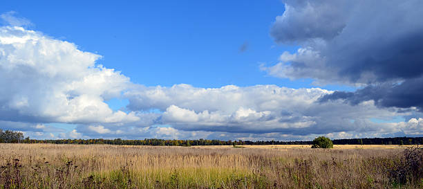 istock Grass Field  Landscape with fantastic clouds 174359963