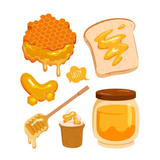 Vector illustration of Honey natural product