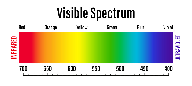 Graduated Color Spectrum Visible Light Spectrum Electromagnetic Visible Color Spectrum For Human ...