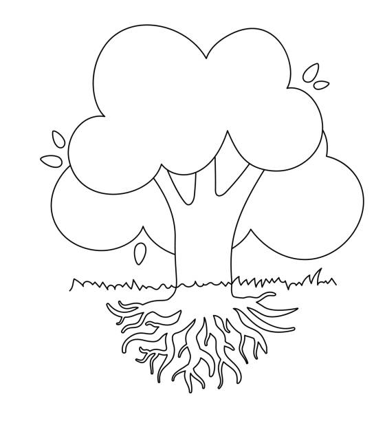 ilustrações, clipart, desenhos animados e ícones de desenho preto e branco da árvore caducifólia com sistema radicular de coroa grande. silhueta de linha para coloração infantil. imagem vetorial isolada - plant root system