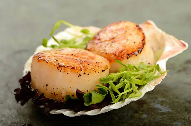 A pair of grilled scallop table top food shot