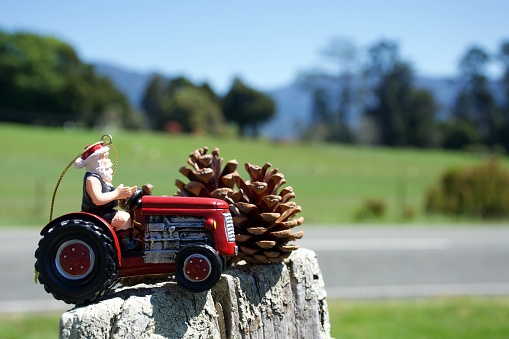 A Santa on a tractor Christmas decoration hangs on an old wood fence in a rural landscape in summer for a rural summer Christmas background.