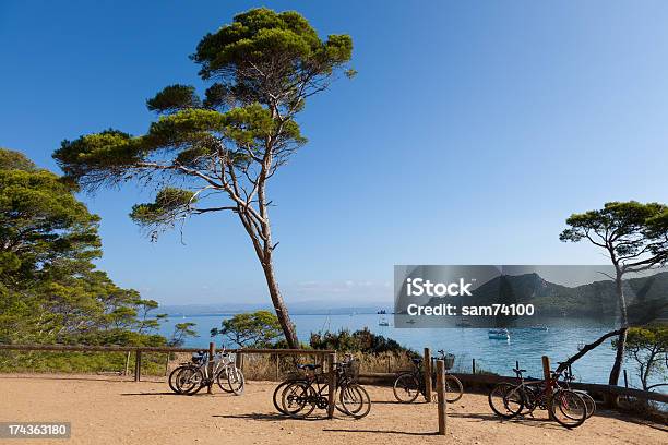 Porquerolles Island In France Stock Photo - Download Image Now - Porquerolles, Cycling, France