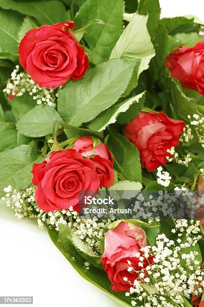 新鮮な赤いバラのブーケにホワイト - クローズアップのストックフォトや画像を多数ご用意 - クローズアップ, ブーケ, 一つ