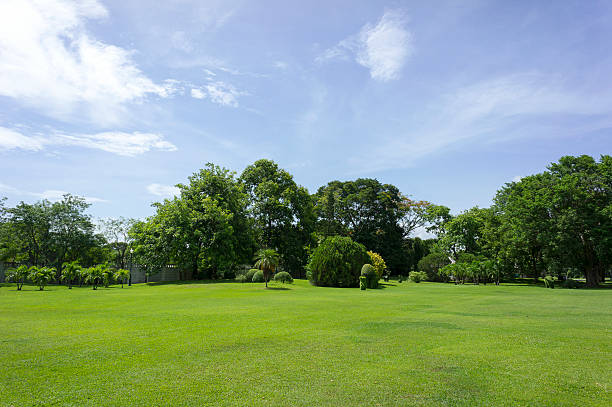 istock Green garden with blue sky landscape. 174364688