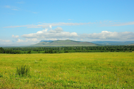 A huge field at the edge of the forest and high mountain ranges in the background under a cloudy summer sky. Khakassia, Siberia, Russia.