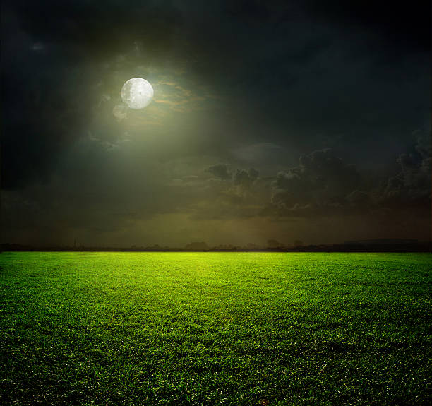 istock View of moonlit green field 174369425