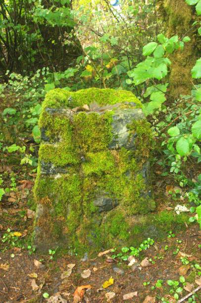 istock Moss covered stone pillar in lush woodland 1743694400