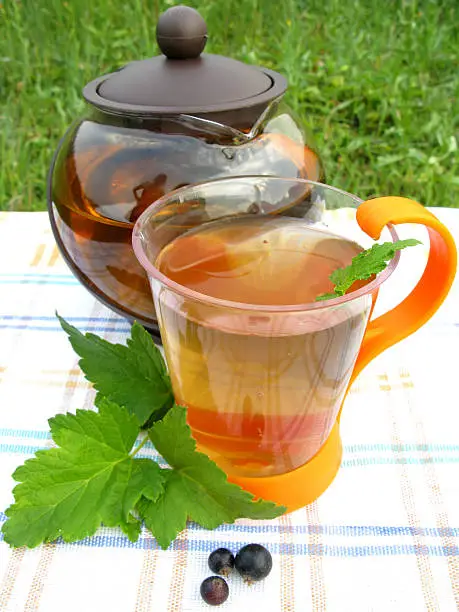 fruit tea with currant extract and berries picnic outdoors