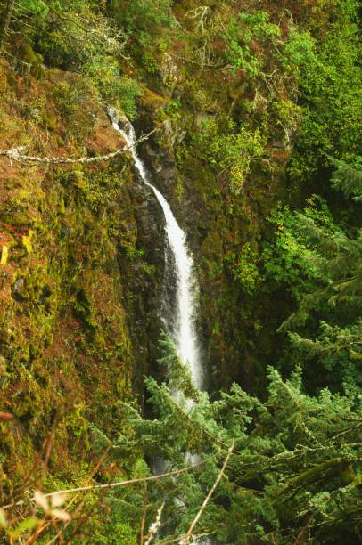 istock Waterfall falling down a steep cliff in pine woodland 1743696352