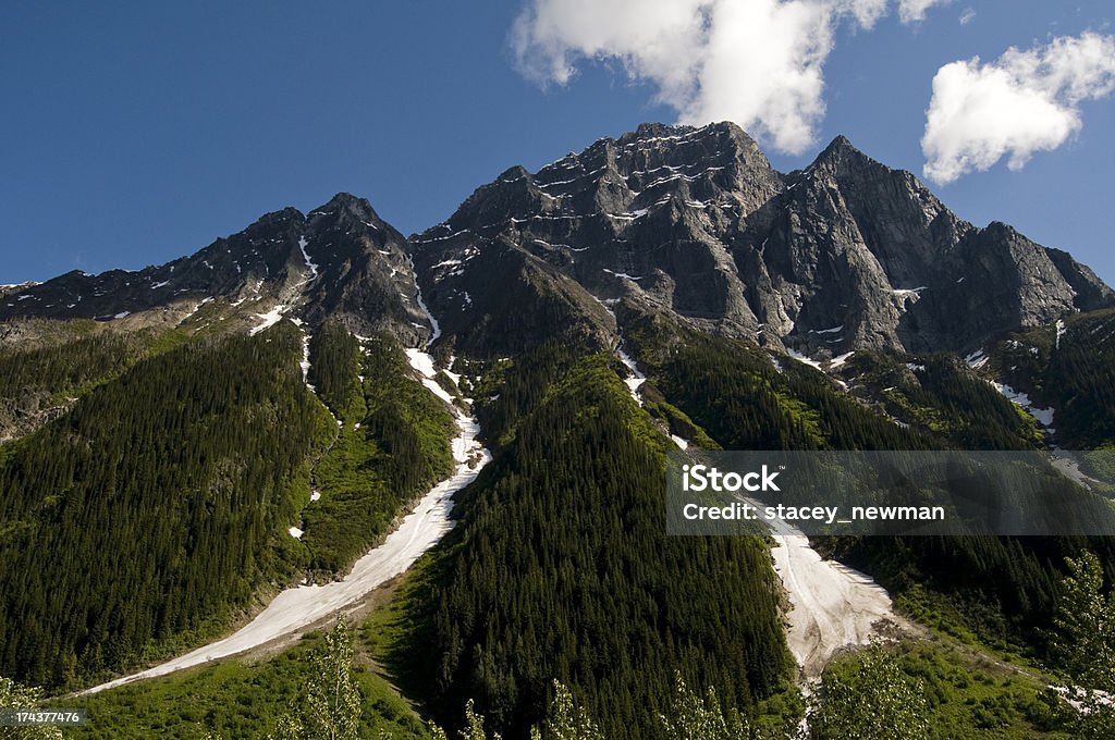 Peak im Glacier National Park, British Columbia - Lizenzfrei Rocky Mountains Stock-Foto