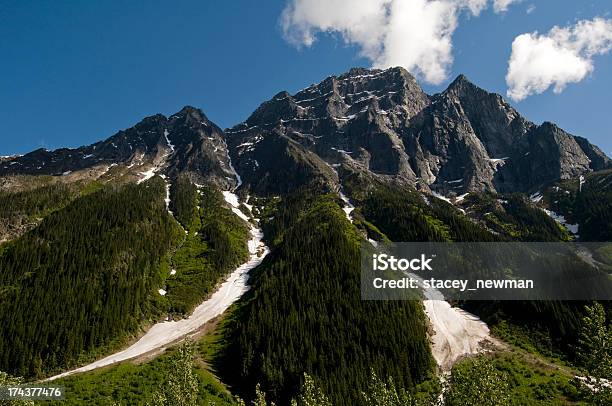 ピークの氷河国立公園bc - ロッキー山脈のストックフォトや画像を多数ご用意 - ロッキー山脈, 並木, カナディアンロッキー