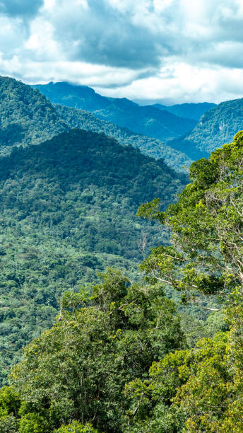 istock Looking at a mountain pass in the Chimbu Highlands. 1743792782