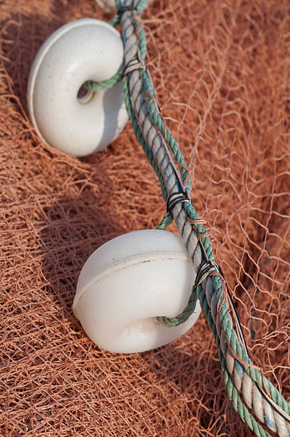 商業漁業純 - commercial fishing net netting fishing striped ストックフォトと画像