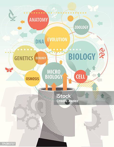 Common Biology Terms In Mind Stock Illustration - Download Image Now - Retro Style, Typescript, DNA