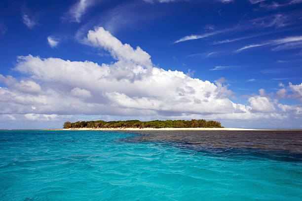 Coral de la isla Tropical pequeño - foto de stock