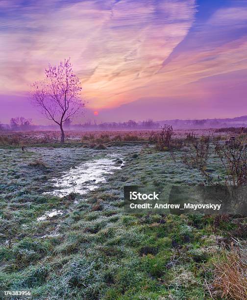 Na Jesień Sunrise - zdjęcia stockowe i więcej obrazów Bez ludzi - Bez ludzi, Brzask, Chmura