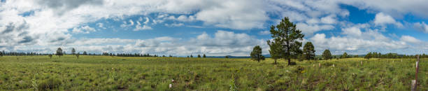 istock Panoramic view of big clouds over green meadows in Arizona 1743840845