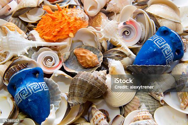 Sfondo Di Mare E Oceano Cockleshells - Fotografie stock e altre immagini di A forma di stella - A forma di stella, Acqua, Animale