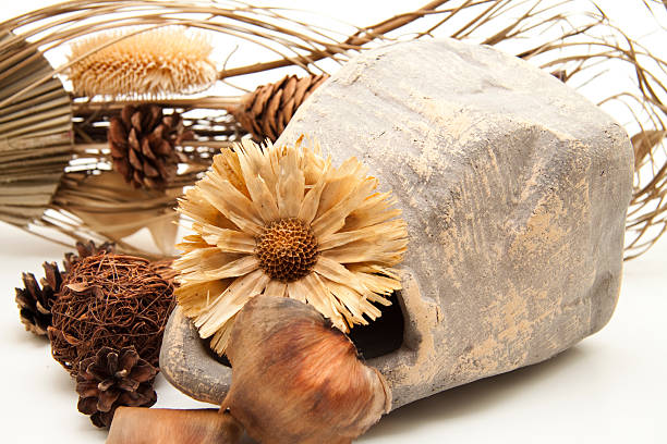 istock Dry flowers in vase 174385603