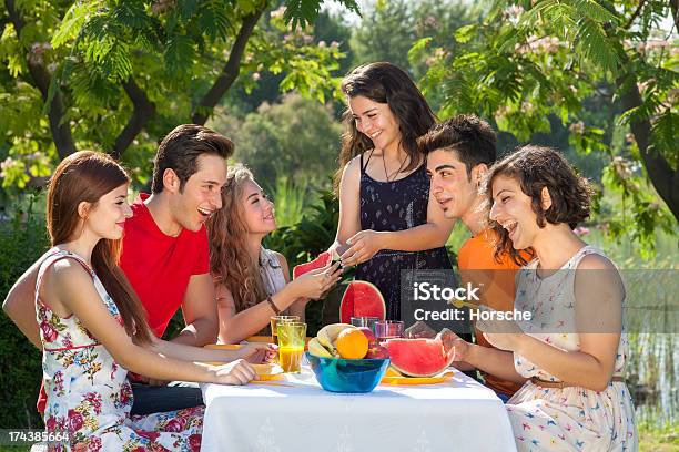 Good Times At The Park Stock Photo - Download Image Now - Adult, Bonding, Bush