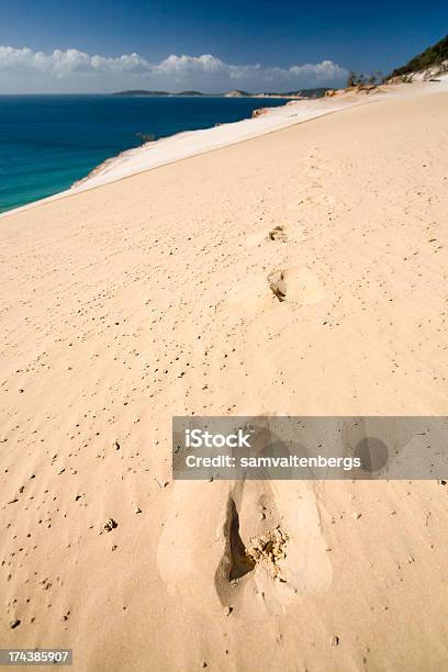 Carlo Areia Blow - Fotografias de stock e mais imagens de Ao Ar Livre - Ao Ar Livre, Areia, Austrália