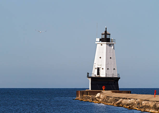 istock Ludington Lighthouse and Seagull 174387359