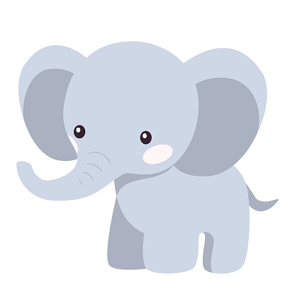 Flat vector illustration. Animals of Africa and safari. Cute elephant on white background