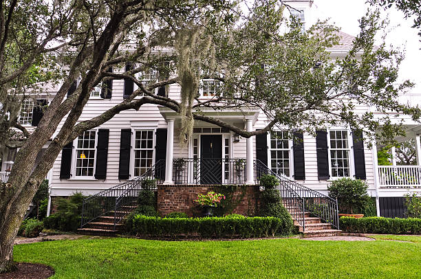 white southern mansion white southern mansion with chokeweed laden tree pretty beach house stock pictures, royalty-free photos & images