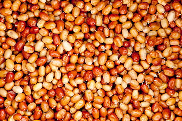 istock sweet oleaster fruit for sale in turkey 174389517