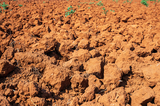 Red soil of Crete
