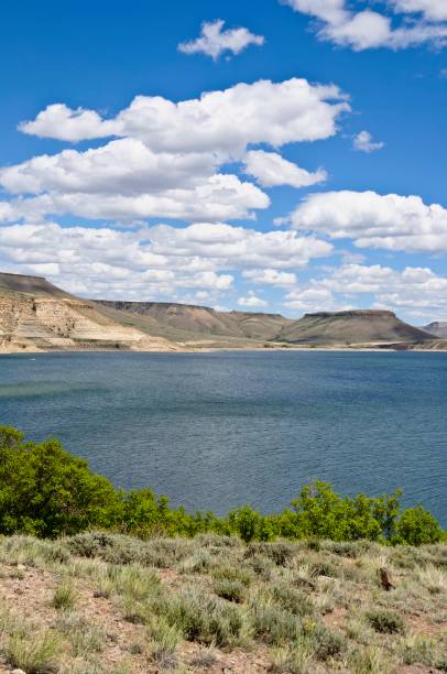 istock Blue Mesa Reservoir, Colorado 174390041