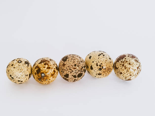 istock Quail eggs or telur puyuh on a white background 1743912189