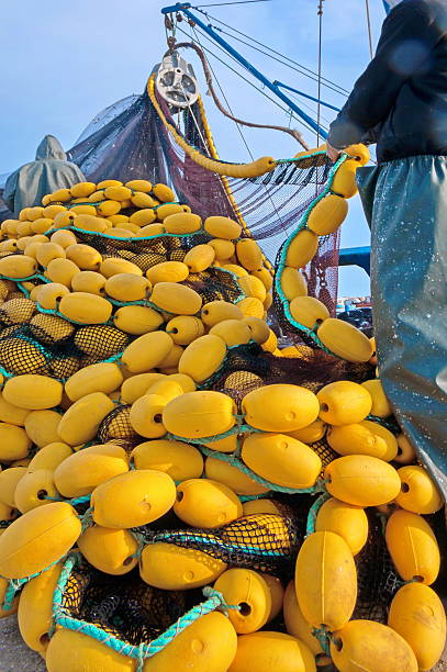 de pesca comercial - commercial fishing net netting fishing striped fotografías e imágenes de stock