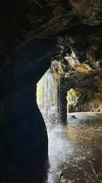 joyau caché : la grotte de la cascade du jardin botanique de singapour - cave fern flowing forest photos et images de collection