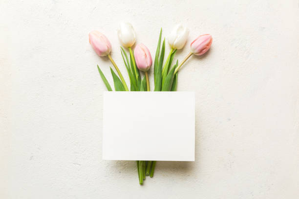 istock Composition with blank card and beautiful flowers tulip on coloredbackground. top view with space for you desing 1743946471