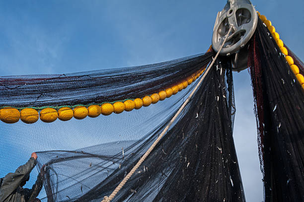 de pesca - commercial fishing net netting fishing striped fotografías e imágenes de stock